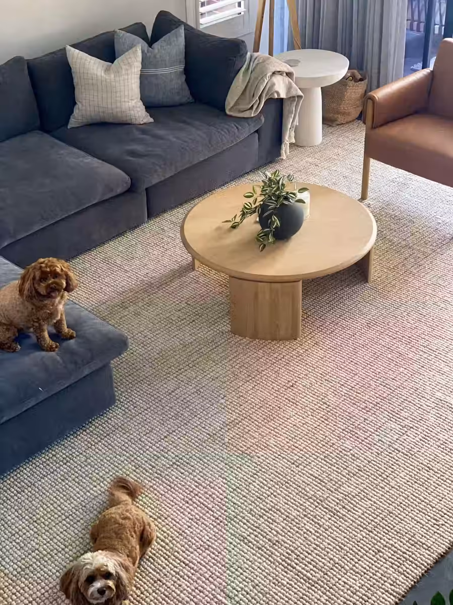 Charcoal modular sofa and a round oak coffee table, with two cavoodles on the wool rug