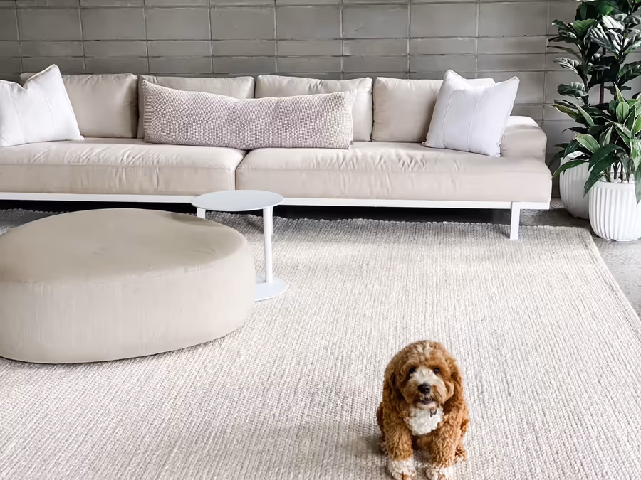 Long linen sofa and a round ottoman against grey tiles, a cavoodle on the rug