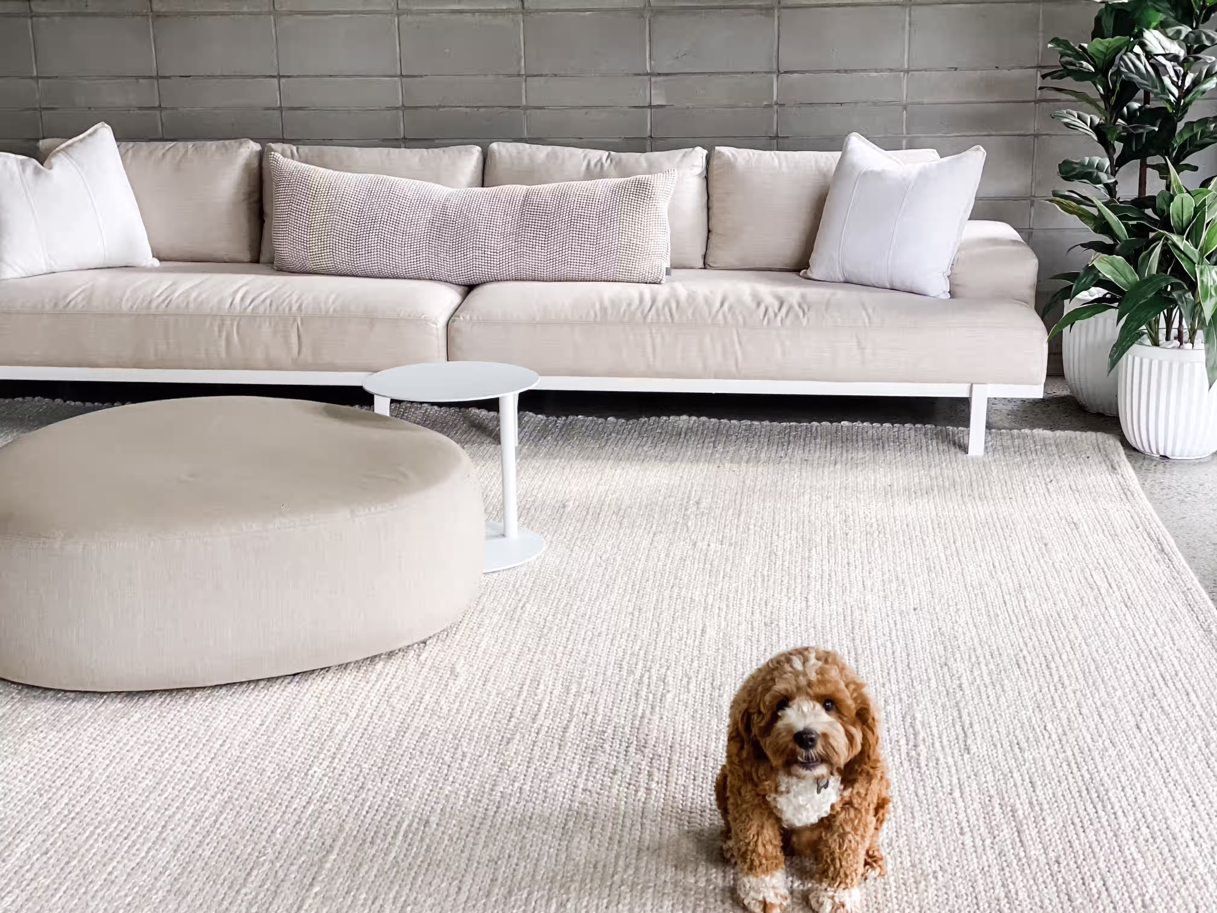 Wooloowin II gallery image